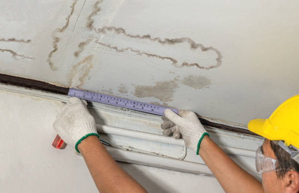 Reliable Basement Water Removal contractor in Witten, SD by Water Damage Irwin